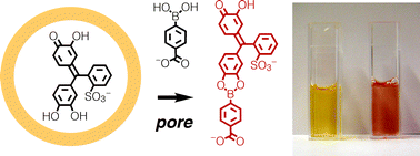 Graphical abstract: Colorful methods to detect ion channels and pores: intravesicular chromogenic probes that respond to pH, pM and covalent capture