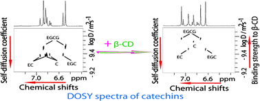 Graphical abstract: The use of diffusion-ordered spectroscopy and complexation agents to analyze mixtures of catechins