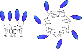 Graphical abstract: Multichromophoric supramolecular systems. Recovery of the distributions of decay times from the fluorescence decays