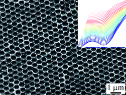 Graphical abstract: Electrodeposition of highly ordered macroporous iridium oxide through self-assembled colloidal templates