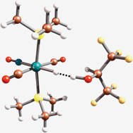 Graphical abstract: Fluorine substituent effects on dihydrogen bonding of transition metal hydrides