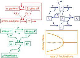 Graphical abstract: Stochastic bifurcation, slow fluctuations, and bistability as an origin of biochemical complexity