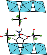 Graphical abstract: Organic–inorganic hybrid chains and layers constructed from copper-amine cations and early transition metal (Nb, Mo) oxyfluoride anions