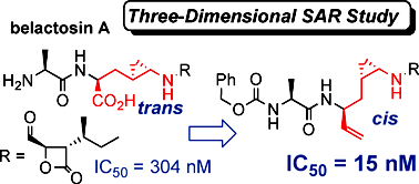 Graphical abstract: Three-dimensional structure-activity relationship study of belactosin A and its stereo- and regioisomers: development of potent proteasome inhibitors by a stereochemical diversity-oriented strategy