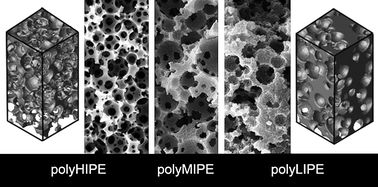 Graphical abstract: New insights into the relationship between internal phase level of emulsion templates and gas–liquid permeability of interconnected macroporous polymers