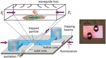 Graphical abstract: Loss-based optical trap for on-chip particle analysis