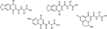 Graphical abstract: Synthesis of amino acid derivatives of quinolone antibiotics