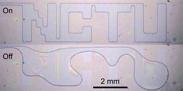 Graphical abstract: Reconfigurable liquid pumping in electric-field-defined virtual microchannels by dielectrophoresis