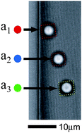 Graphical abstract: Multipoint viscosity measurements in microfluidic channels using optical tweezers