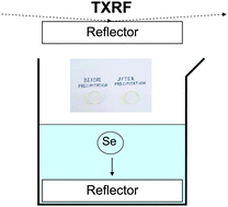 Graphical abstract: Total reflection X-ray fluorescence selenium analysis after reduction and quartz reflector adsorption