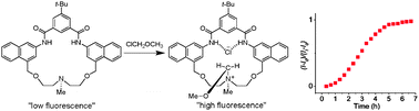 Graphical abstract: Fluorescent chemosensor for reactive organohalides in micellar solution with an example of autocatalysis