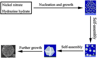 Graphical abstract: A facile sonochemical route to morphology controlled nickel complex mesostructures