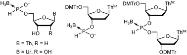 Graphical abstract: Nucleoside H-boranophosphonates: a new class of boron-containing nucleotide analogues