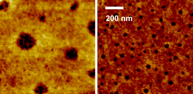 Graphical abstract: Cellulose decorated cavities on ultrathin films of PMMA