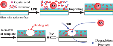 Graphical abstract: Selective photocatalysis on molecular imprinted TiO2 thin films prepared via an improved liquid phase deposition method