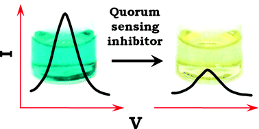 Graphical abstract: Electrochemical analysis of quorum sensing inhibition