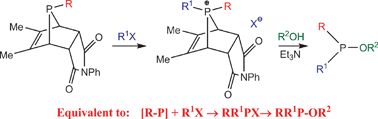 Graphical abstract: Phosphole-N-phenylmaleimide [4+2] cycloadducts as synthetic equivalents of nucleophilicphosphinidenes