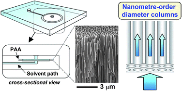 Graphical abstract: Separation of adenine, adenosine-5′-monophosphate and adenosine-5′-triphosphate by fluidic chip with nanometre-order diameter columns inside porous anodic alumina using an aqueous mobile phase