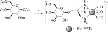 Graphical abstract: Rhenium and 99m-technetium complexes of monosaccharide based tripodal triamines as potential radio imaging agents