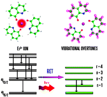Graphical abstract: Vibrational overtones quenching of near infrared emission in Er3+ complexes