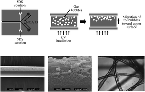 Graphical abstract: Microfluidic synthesis of a cell adhesive Janus polyurethane microfiber