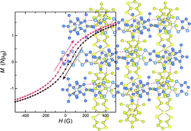 Graphical abstract: Magnetisation inverted hysteresis loops in the molecular magnets [M(Cp*)2][Ni(α-tpdt)2] (M = Fe, Mn)