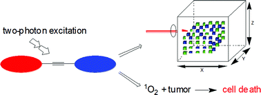 Graphical abstract: Design of two-photon absorbing materials for molecular optical memory and photodynamic therapy