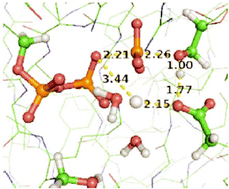 Graphical abstract: Quantum mechanics/molecular mechanics investigation of the mechanism of phosphate transfer in human uridine-cytidine kinase 2
