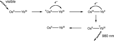 Graphical abstract: [Ru(bipy)3]2+ and [Os(bipy)3]2+ chromophores as sensitisers for near-infrared luminescence from Yb(iii) and Nd(iii) in d/f dyads: contributions from Förster, Dexter, and redox-based energy-transfer mechanisms