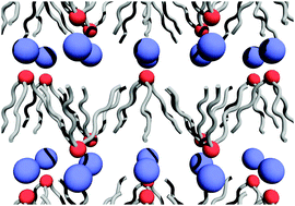 Graphical abstract: New insight into the nanostructure of ionic liquids: a small angle X-ray scattering (SAXS) study on liquid tri-alkyl-methyl-ammonium bis(trifluoromethanesulfonyl)amides and their mixtures