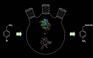 Graphical abstract: Synergy between chemo- and bio-catalysts in multi-step transformations