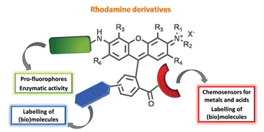 Graphical abstract: Synthesis and applications of Rhodamine derivatives as fluorescent probes