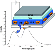 Graphical abstract: White light-emitting devices with a single emitting layer based on bisindolylmaleimide fluorophores