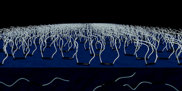 Graphical abstract: Surface modification of PDMS by gradient-induced migration of embedded Pluronic