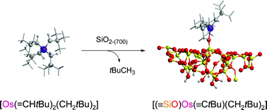 Graphical abstract: Metal fragment isomerisation upon grafting a d2 ML4perhydrocarbyl Os complex on a silica surface: origin and consequence