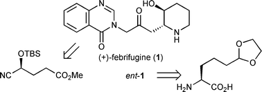 Graphical abstract: Complementary chemoenzymatic routes to both enantiomers of febrifugine