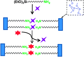 Graphical abstract: Synthesis of a NO-releasing lamellar silsesquioxane by topotactic exchange of CO2 for NO