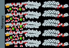 Graphical abstract: Equilibrium distribution of K+ ions in the hydrophilic spacer of tethered bilayer lipid membranes