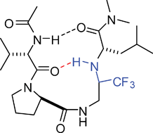 Graphical abstract: Ψ[CH(CF3)NH]Gly-peptides: synthesis and conformation analysis