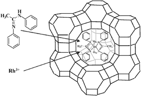 Graphical abstract: Host–guest chemistry of the (N,N′-diarylacetamidine)rhodium(iii) complex in zeolite Y