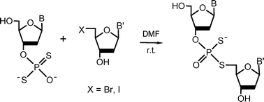 Graphical abstract: The synthesis of di- and oligo-nucleotides containing a phosphorodithioate internucleotide linkage with one of the sulfur atoms in a 5′-bridging position