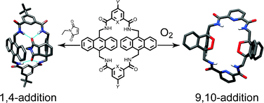 Graphical abstract: Cycloaddition to an anthracene-derived macrocyclic receptor with supramolecular control of regioselectivity