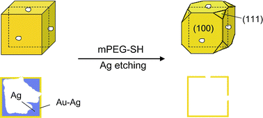 Graphical abstract: Fine tuning the optical properties of Au–Ag nanocages by selectively etching Ag with oxygen and a water-soluble thiol