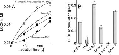 Graphical abstract: Effect of untreated and photobleached bovine RPE melanosomes on the photoinduced peroxidation of lipids