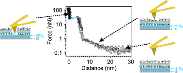 Graphical abstract: A detailed investigation of the formation kinetics and layer structure of poly(ethylene glycol) tether supported lipid bilayers