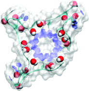 Graphical abstract: Selectivity in small molecule binding to human telomeric RNA and DNA quadruplexes