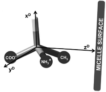 Graphical abstract: Structure and orientation of small molecules dissolved in the liquid crystalline phases of CsPFO/water system by multinuclear NMR