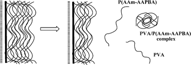 Graphical abstract: Layer-by-layer multilayer films linked with reversible boronate ester bonds with glucose-sensitivity under physiological conditions