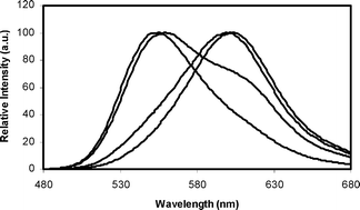 Graphical abstract: The effective role of positive charge saturation in bioluminescence color and thermostability of firefly luciferase