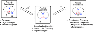 Graphical abstract: Bicyclic-guanidines, -guanidinates and -guanidinium salts: wide ranging applications from a simple family of molecules